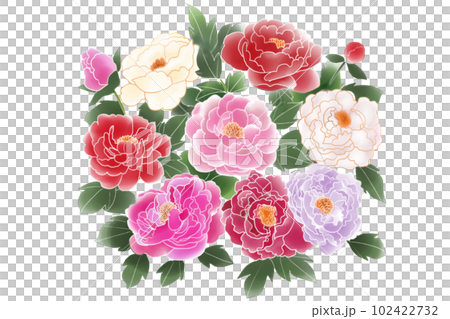 Bouquet of Peony Bouquet of Peony 102422732