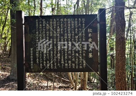 松平乗元の墓 松平乗元の墓 102423274