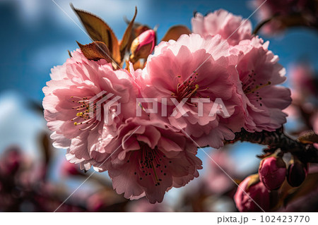 Branch of blossom tree on the blue sky background. Generative AI 102423770