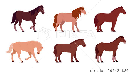 Cartoon horses. Domestic graceful animals, horses of different breeds. Farm or ranch animals flat vector illustration set 102424886