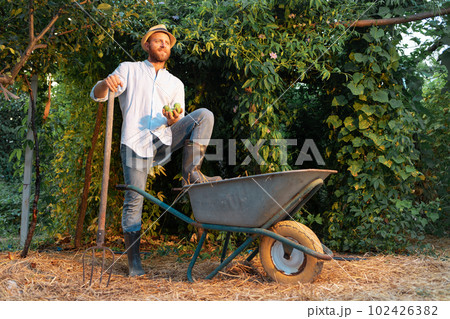 Organic gardening. Handsome caucasian bearded gardener poses with his foot on a cart holding pitchfork. The concept of summer and harvesting 102426382