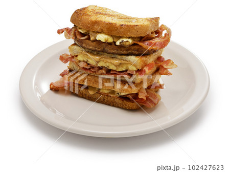 エルビスサンド 102427623