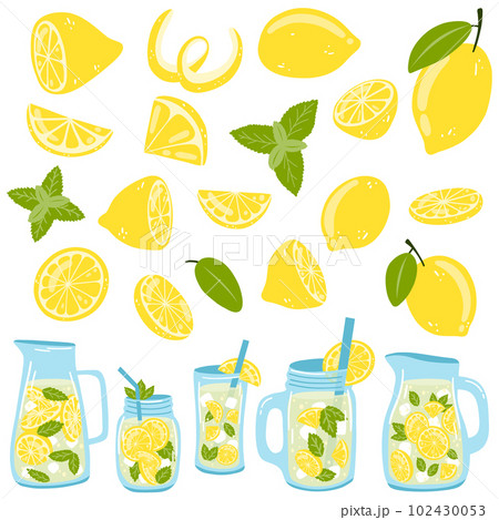 Set of lemons and bottles with lemonade. Vector illustration of citrus fruit, glass, jars with fresh summer drink, mint for web design, logo, packaging, stickers, print 102430053