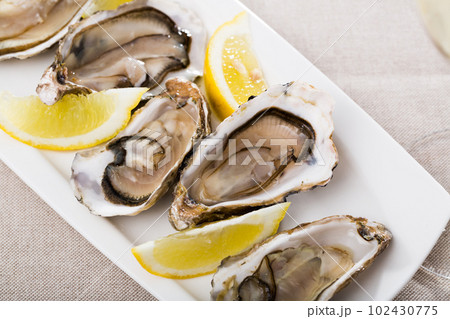 Oysters with lemon on plate 102430775