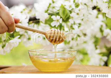 Honey dripping from wooden honey spoon in glass bowl 102430860