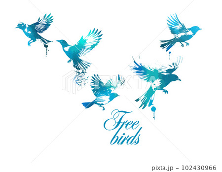 A flock of blue watercolor flying birds. Free birds abstraction Vector illustration A flock of blue watercolor flying birds. Free birds abstraction Vector illustration 102430966