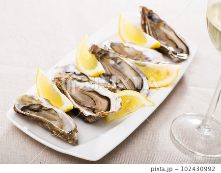 Oysters with lemon on plate Oysters with lemon on plate 102430992