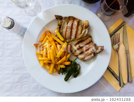 Juicy grilled meat cutlet 102431288