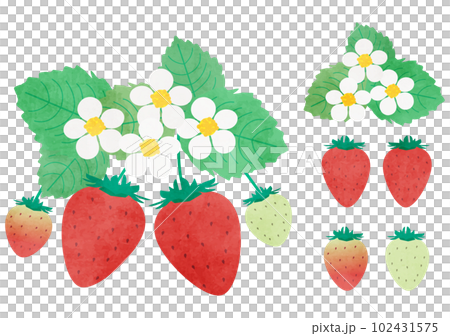 一個草莓 一個草莓 102431575