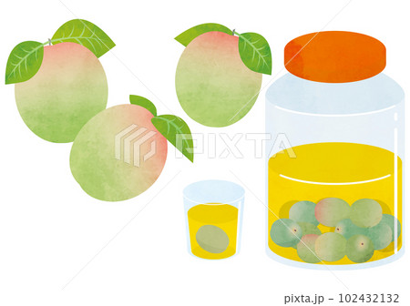 梅酒 梅酒 102432132