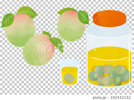 梅酒 梅酒 102432132