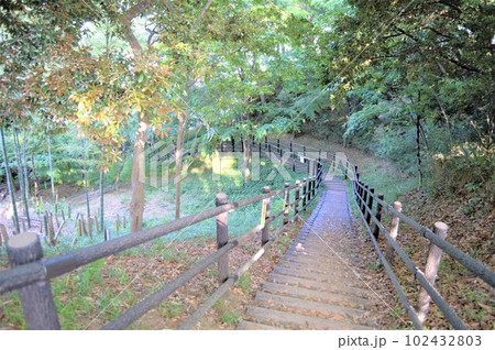 公園の急な階段(坂) 公園の急な階段(坂) 102432803