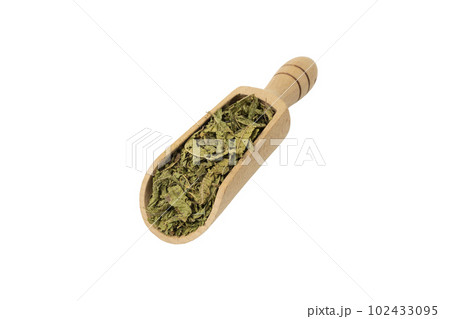 Dried leaves o Lemon verbena in latin Aloysia citrodora in wooden scoop isolated on white background. Medicinal herb. 102433095