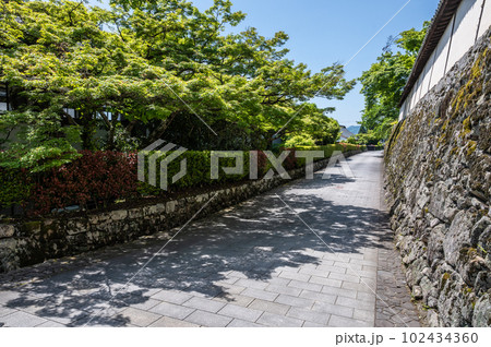 大津市坂本の風景 新緑の木々 大津市坂本の風景 新緑の木々 102434360