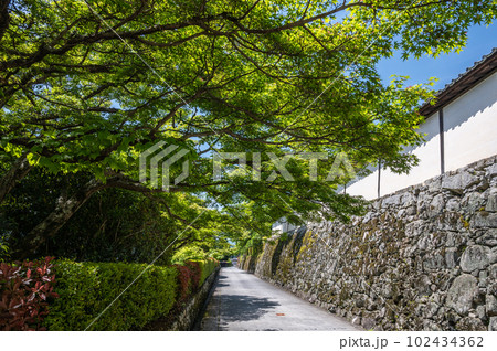 大津市坂本の風景　石畳の道を覆う新緑の木々 102434362