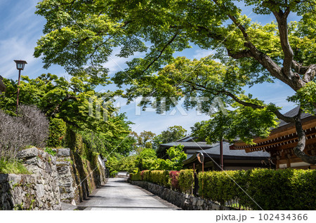 大津市坂本の風景 新緑の季節 大津市坂本の風景 新緑の季節 102434366