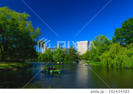 札幌中島公園(菖蒲池)_2091 札幌中島公園(菖蒲池)_2091 102434385