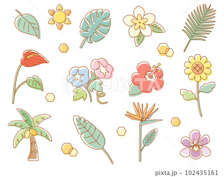 向日葵やハイビスカスなどの夏の花や植物・葉のイラストセット　線画とカラーを組み合わせたバージョン 102435161