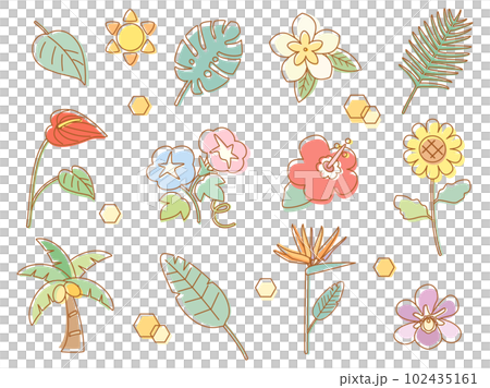 向日葵やハイビスカスなどの夏の花や植物・葉のイラストセット　線画とカラーを組み合わせたバージョン 102435161