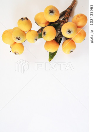 ビワの木の背景イメージ ビワの木の背景イメージ 102435965