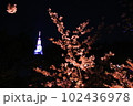 夜桜 102436978