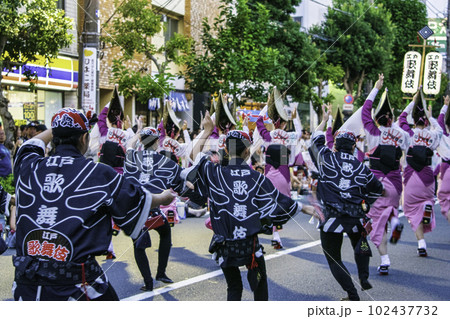 東京都　高円寺阿波おどり 102437732
