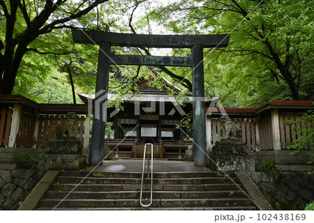 金崎宮 102438169