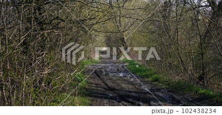 Dirt blurred country road among trees and bushes Dirt blurred country road among trees and bushes 102438234