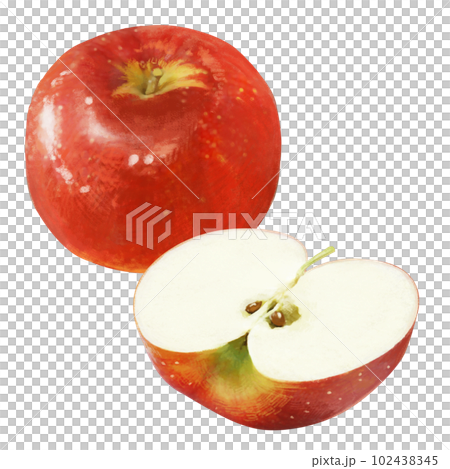 Real touch apple illustration Real touch apple illustration 102438345