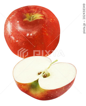 リアルタッチのりんごのイラスト リアルタッチのりんごのイラスト 102438349