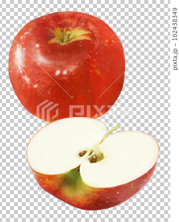 Real touch apple illustration 102438349