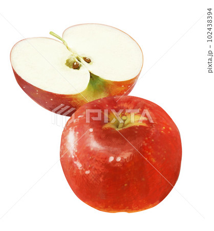 リアルタッチのりんごのイラスト 102438394