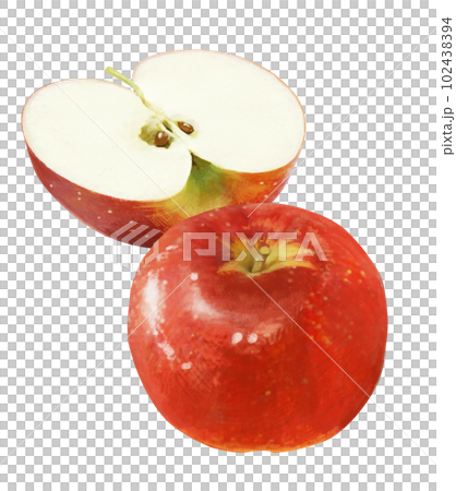 リアルタッチのりんごのイラスト 102438394
