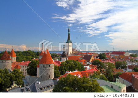 エストニア　高台の展望台から望む中世の面影を残す世界遺産タリン旧市街歴史地区の街並み 102440231