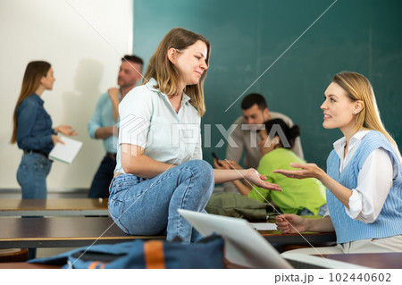 Adult students communicating during recess between lectures in auditorium 102440602