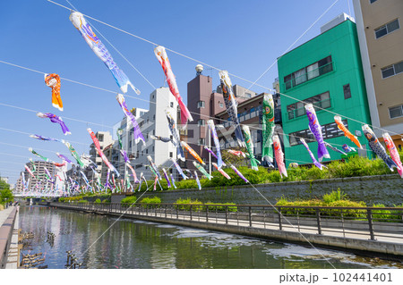 東京スカイツリー付近の街並みと鯉のぼり 東京スカイツリー付近の街並みと鯉のぼり 102441401