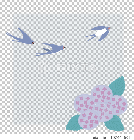 紫陽花とツバメ 102441601