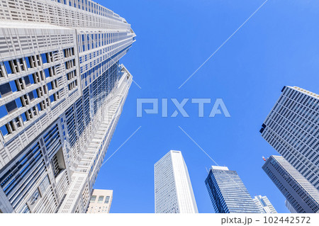 東京都新宿区 快晴の東京都庁と西新宿ビル群の街並み 東京都新宿区 快晴の東京都庁と西新宿ビル群の街並み 102442572