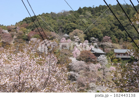 奈良県世界遺産吉野山の桜風景 102443138