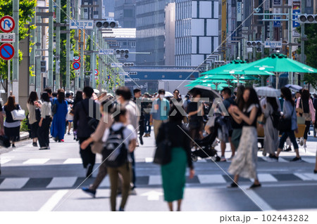 《東京都》賑わう銀座メインストリート・歩行者天国 102443282
