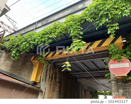 ガード下通路 102443327