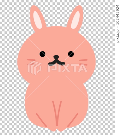 かわいいウサギの全身イラスト かわいいウサギの全身イラスト 102443924