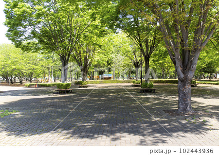 茨城県筑西市の県西総合公園 茨城県筑西市の県西総合公園 102443936