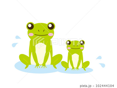 水たまりの上の2匹のカエル 102444104
