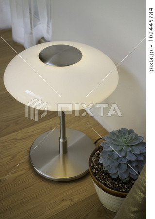 Bright living room  modern interior 102445784