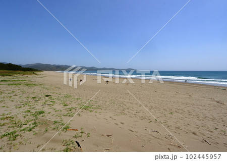 サーフポイント 土佐 入野海岸(高知県 黒潮町) サーフポイント 土佐 入野海岸(高知県 黒潮町) 102445957