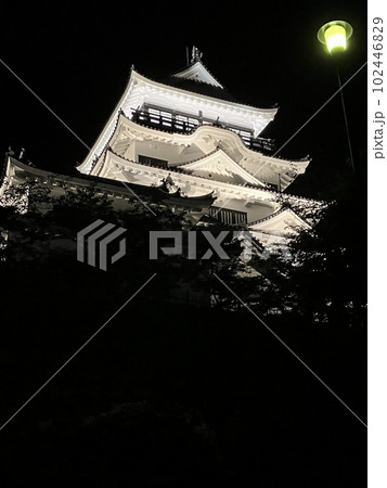 ライトアップされた夜の福山城_広島県福山市 102446829