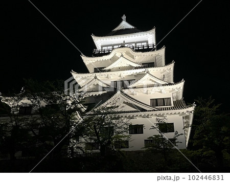 ライトアップされた夜の福山城_広島県福山市 ライトアップされた夜の福山城_広島県福山市 102446831