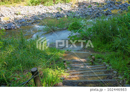 嵐山渓谷　槻川　新緑の風景　武蔵の小京都　 102446983