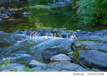 嵐山渓谷　槻川　新緑の風景　武蔵の小京都　 102447044